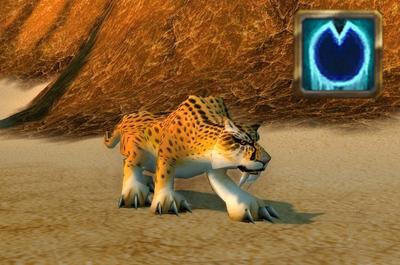 Druid leveling in Classic
