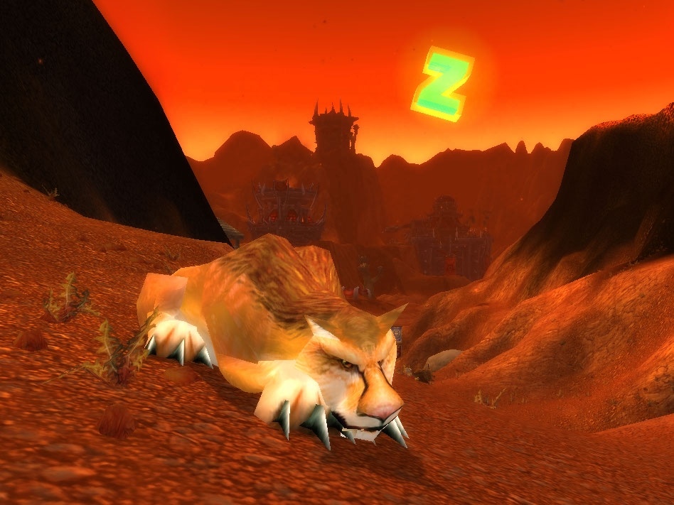 Hunter travelling with a trained pet